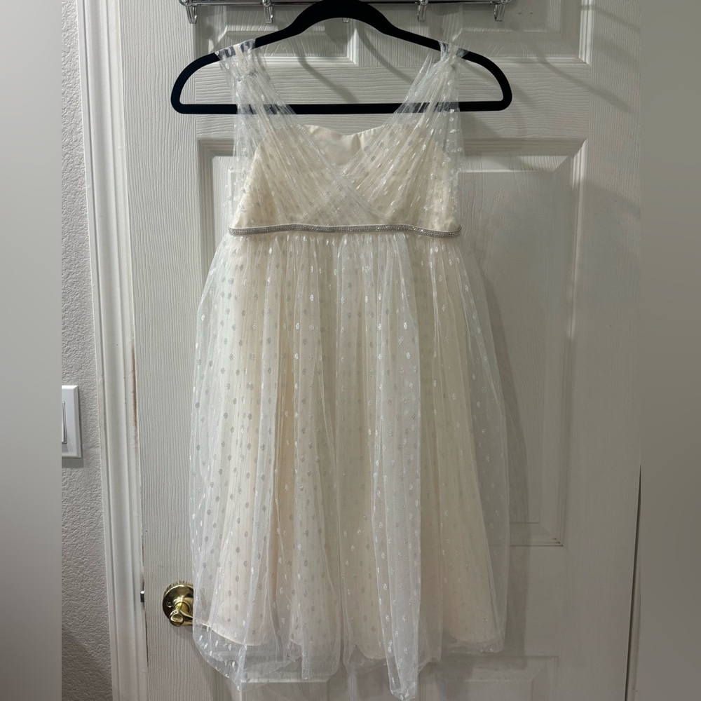 David's Bridal Cream Flower Girl Dress with Silver Accents